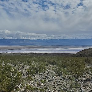 Death Valley 2020  (3)