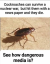1773095520384.png