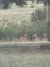 20260706_202133.jpg