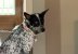 IMG_7155.jpeg
