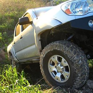 Silverbacks Taco