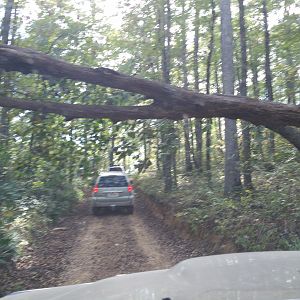 IMG_20171006_153024