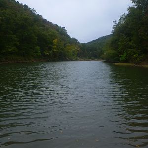 P1050419