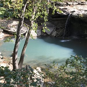 IMG_5294