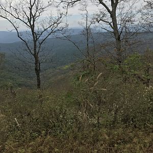 IMG_5405