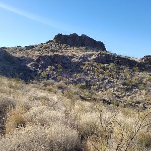 BBRSP 2017 (9)
