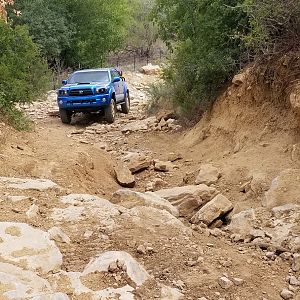 Bridgeport 2018 Pic 7