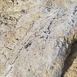 Bridgeport 2018 Pic 13 Scraping On Rocks