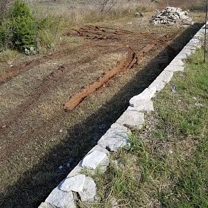 Bad decision in backyard