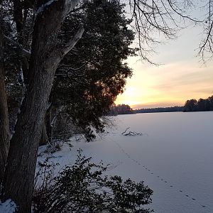 20190202_071301
