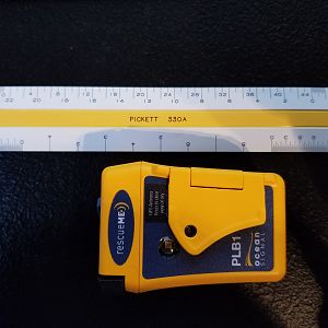 Plb1