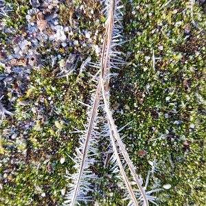 20190210_082658