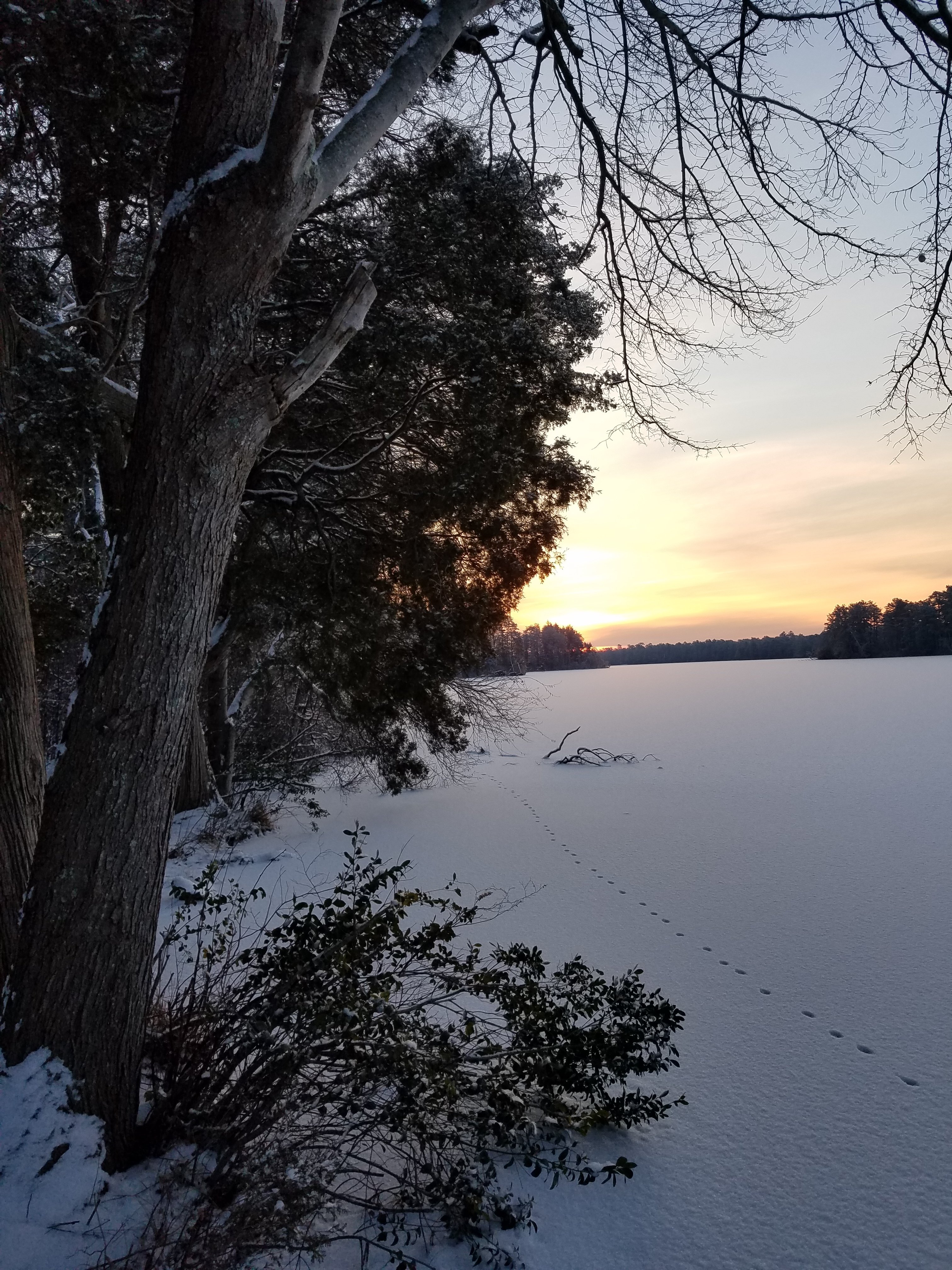 20190202_071301