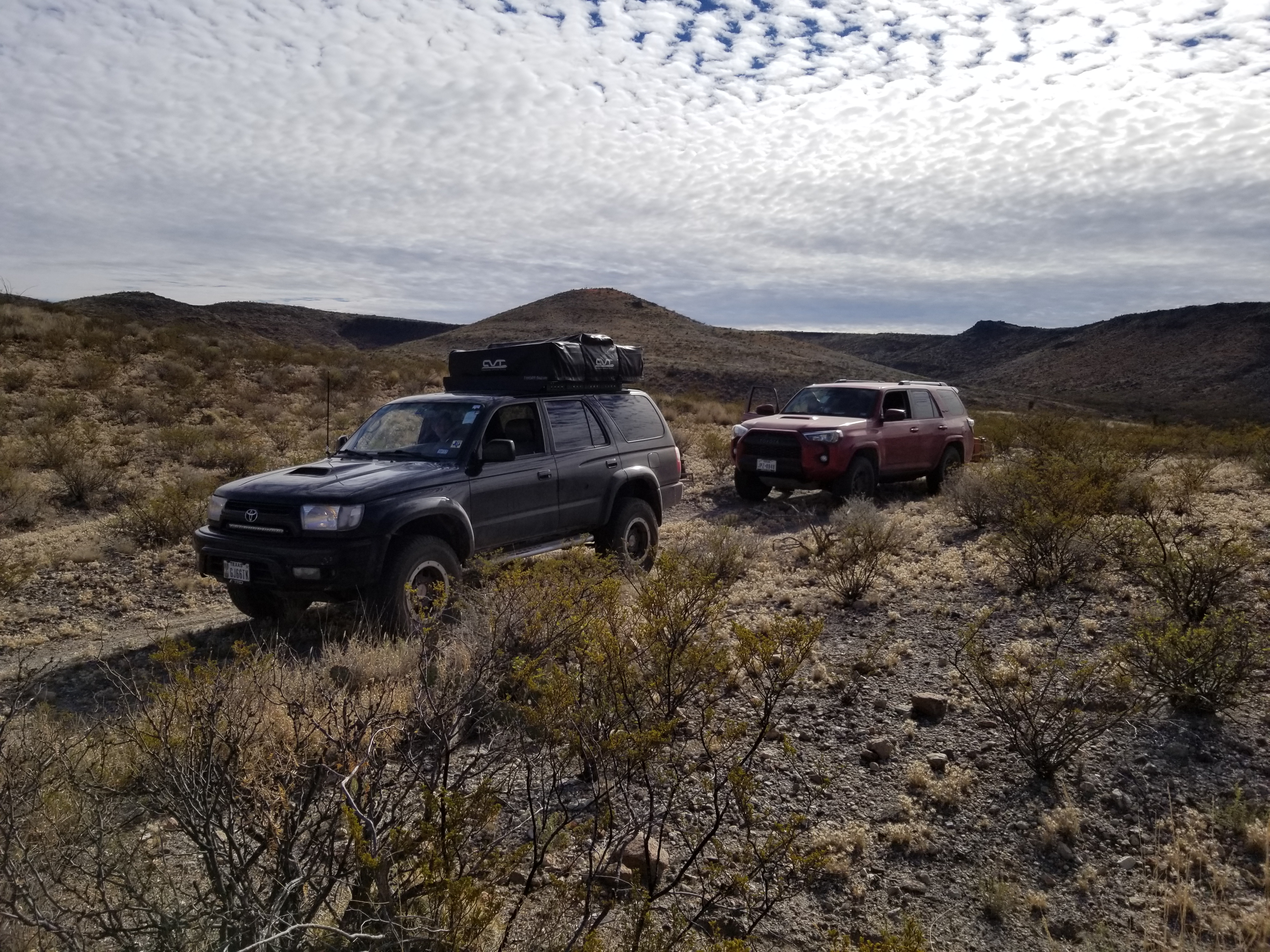 BBRSP 2017 (14)