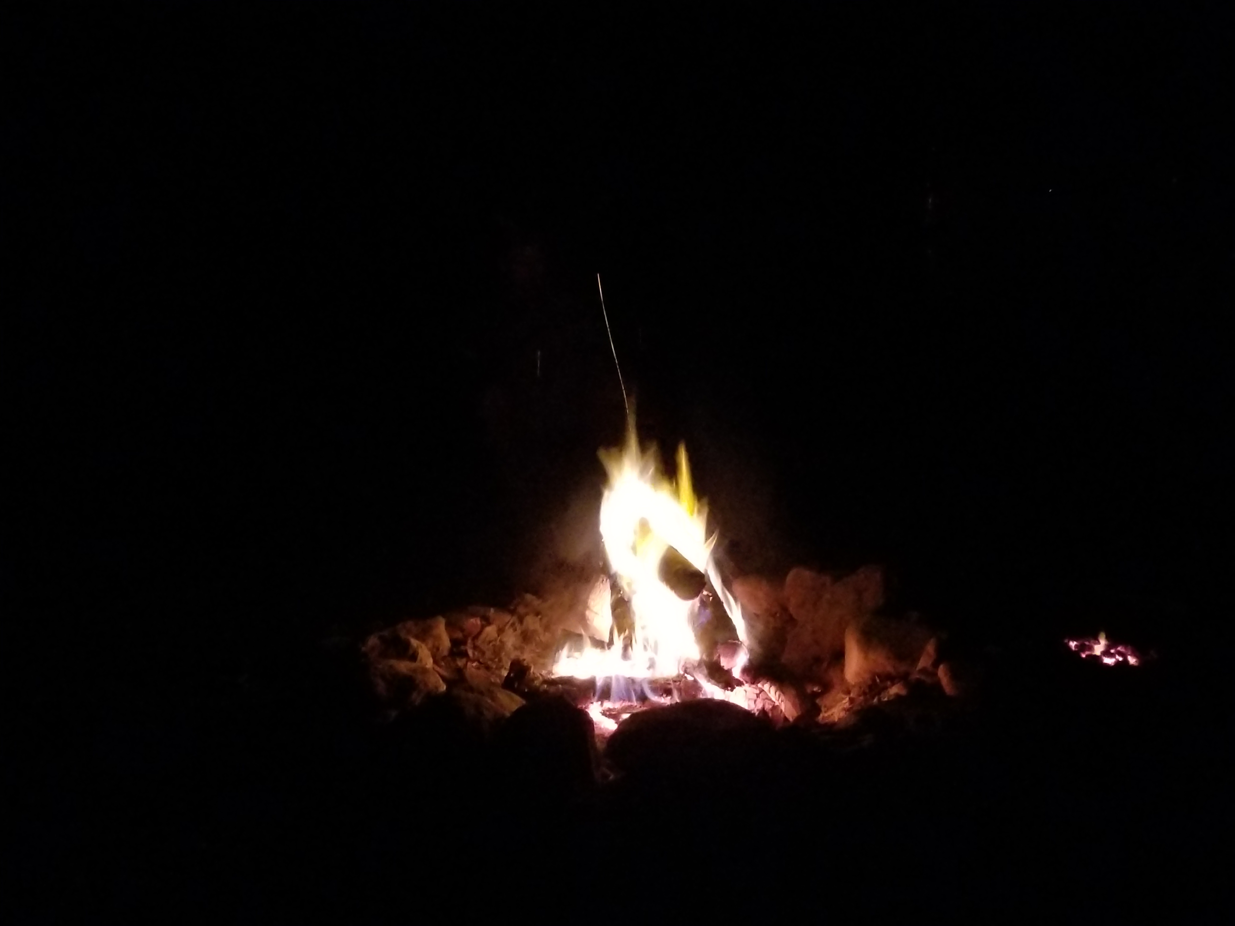 Great end to the night