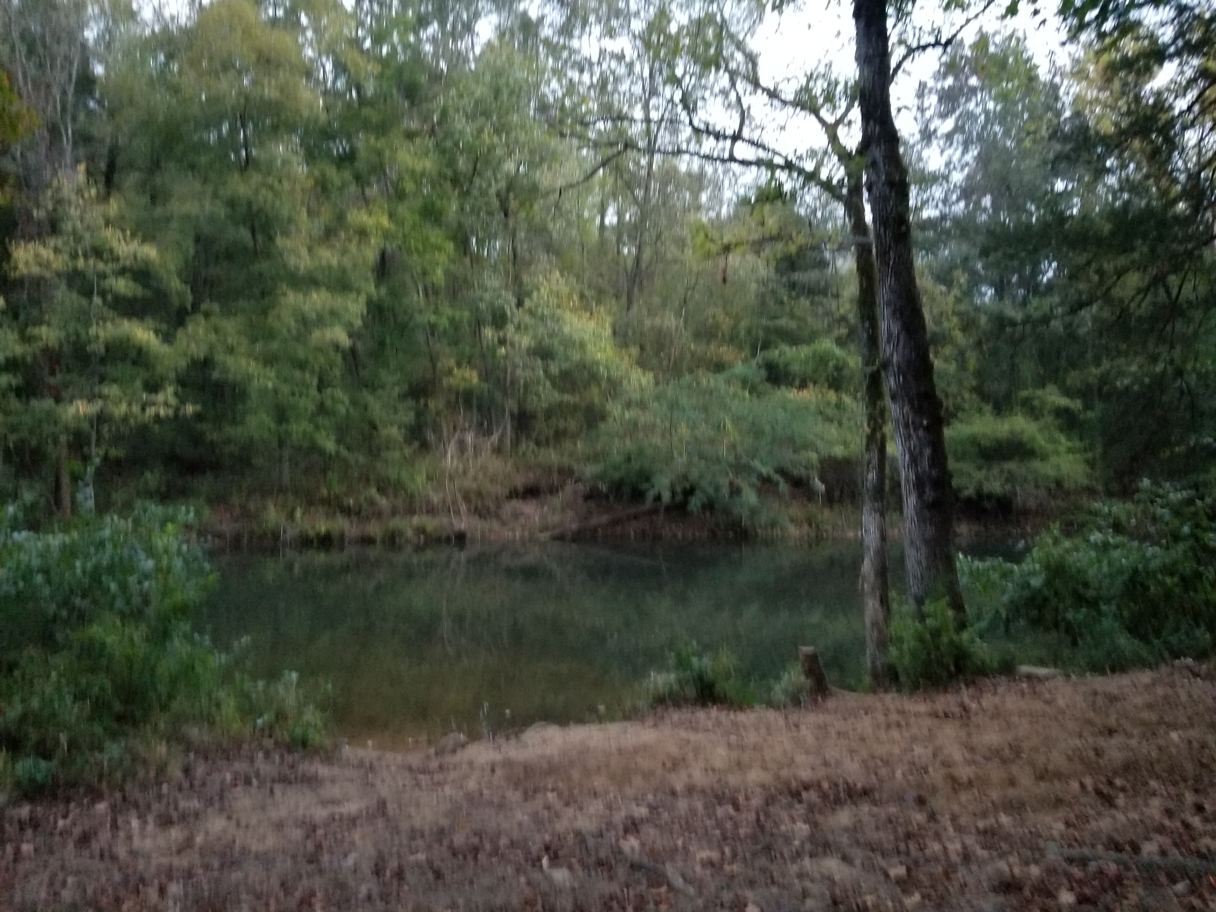 Second campsite